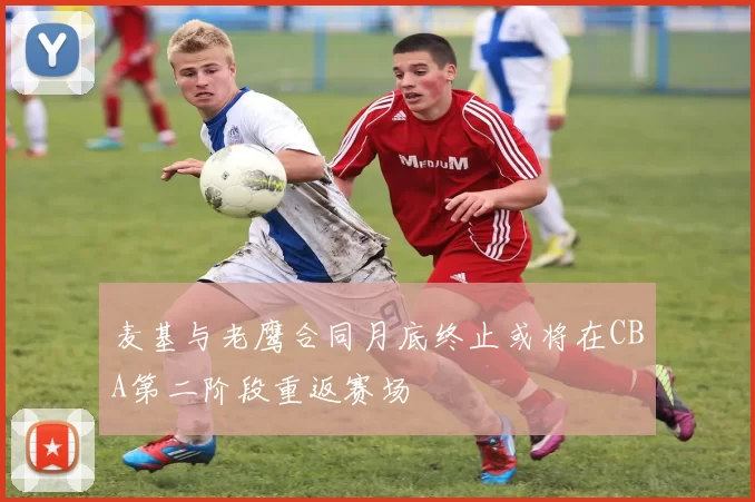 麦基与老鹰合同月底终止或将在CBA第二阶段重返赛场